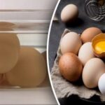 Sådan tjekker du æg for friskhed – bedstemors metode med